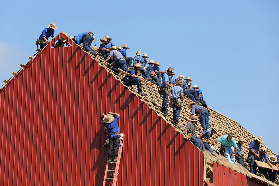 Timber roofing services near Sydney and Maroubra, NSW