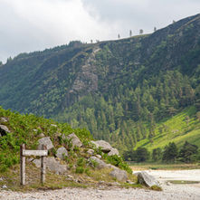 Laragh Glendalough Notes Week Beg 31st August