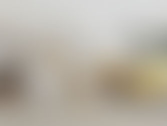 🏠 WHEN GOOD INTENTIONS CROSS THE LINE: A REAL TRIBUNAL CASE ON QUIET ENJOYMENT