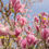 Thumbnail: Magnolia