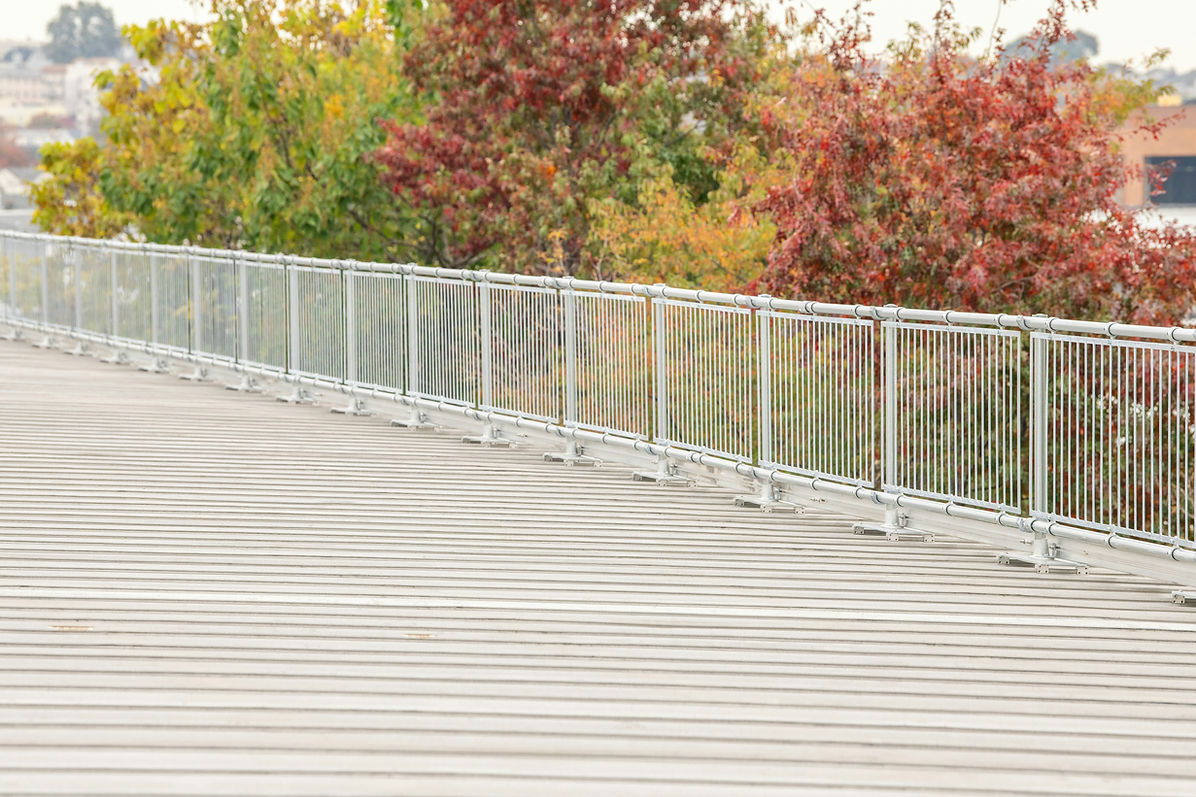 Wooden boardwalk with a metal railing, bordered by autumn trees with red