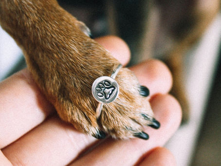 Close-up of a dog’s paw resting in a woman’s hand wearing a small paw-shaped ring, representing love, companionship, emotional connection, grief, and the bond between pets and their owners.