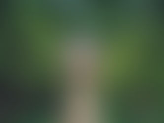 This property has never been listed. Here’s why