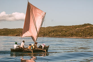 Image by Alessandro Zanini