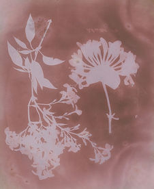 Image by Art Institute of Chicago