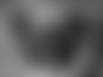 Affenpinscher