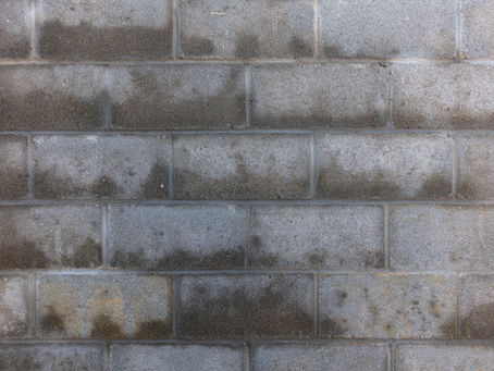 "Importance of Regular Professional Gutter Cleaning: Protecting Your Home from Water Damage"