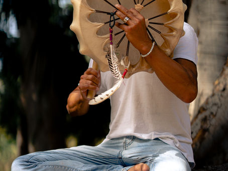 The Shamanic Journey Connection