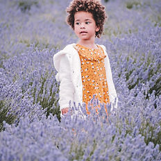 Pick Lavender Ramona, CA