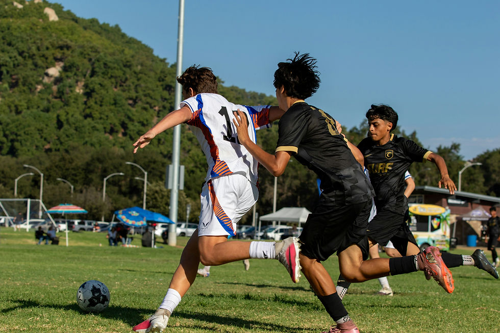 Image by Felipe Oliveira