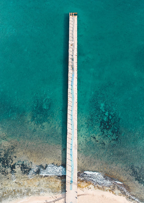 Image by Willian Justen de Vasconcellos