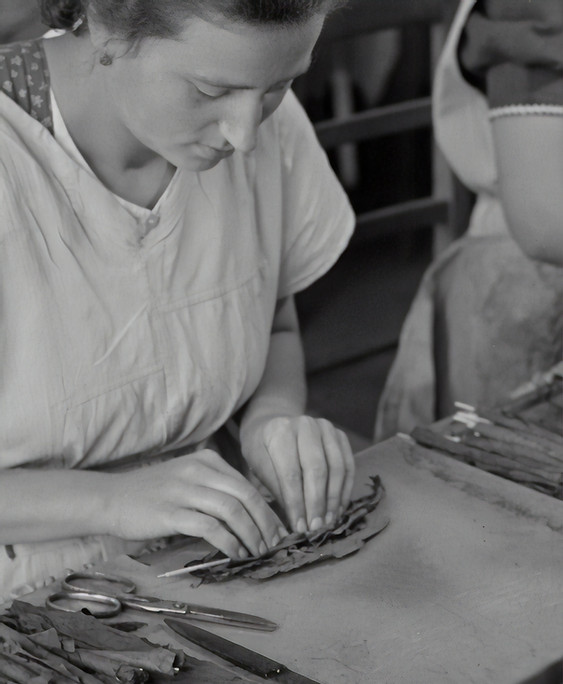 Image by Austrian National Library