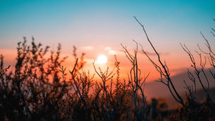 Surrendering to the Outcome- Embracing the Power of Acceptance
