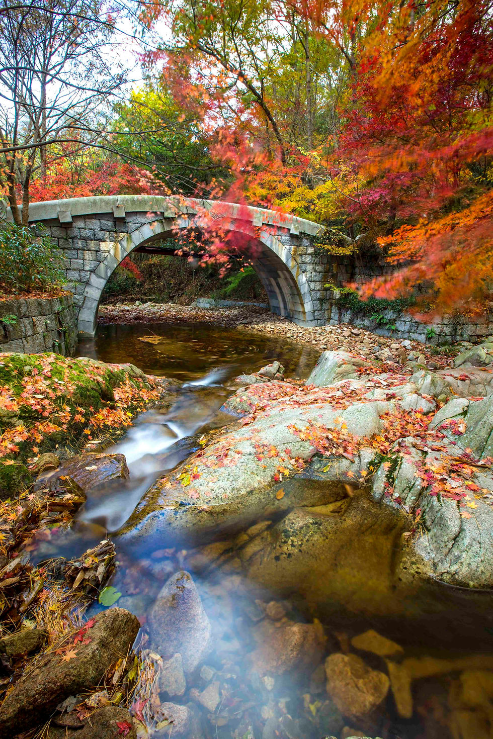 Stone bridge over a stream with rocks and colorful autumn leaves. Vibrant red and orange trees surround, creating a serene, picturesque scene.