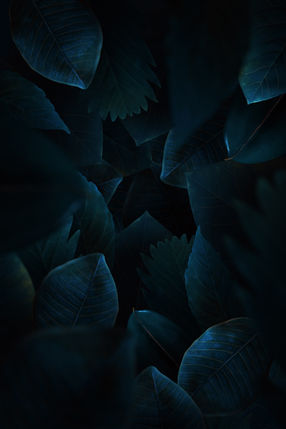 Image by Martin Martz