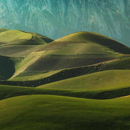 Image by Zabihullah Habibi