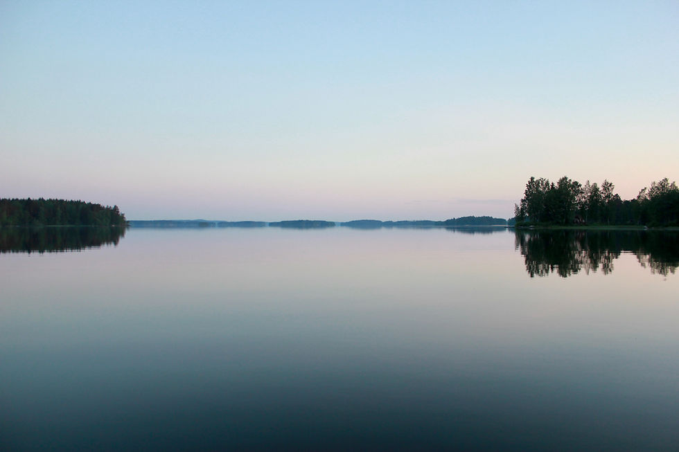 Image by Lukas Kokkonen