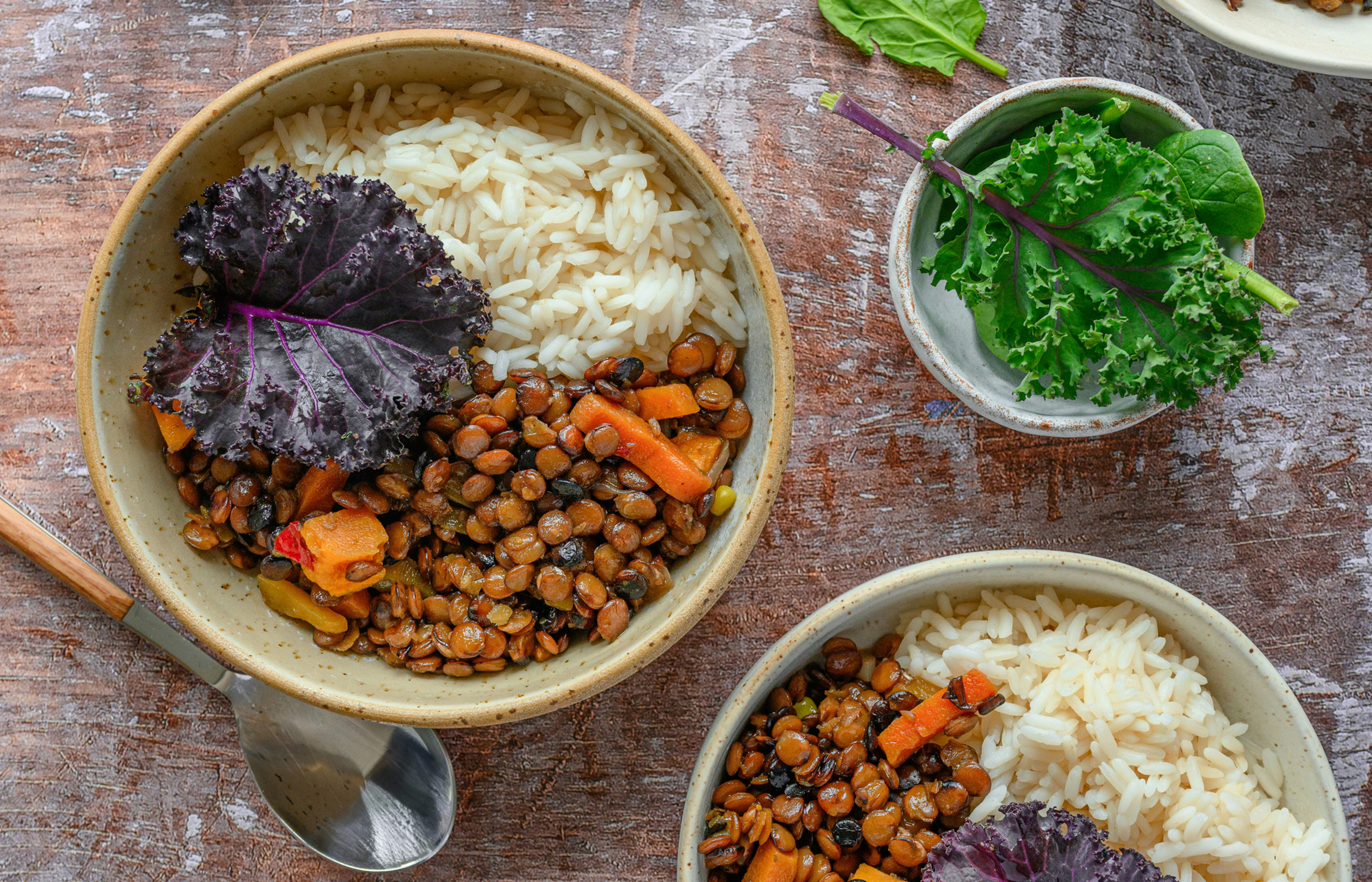 Vegetarianismo, anemia e deficiência de ferro