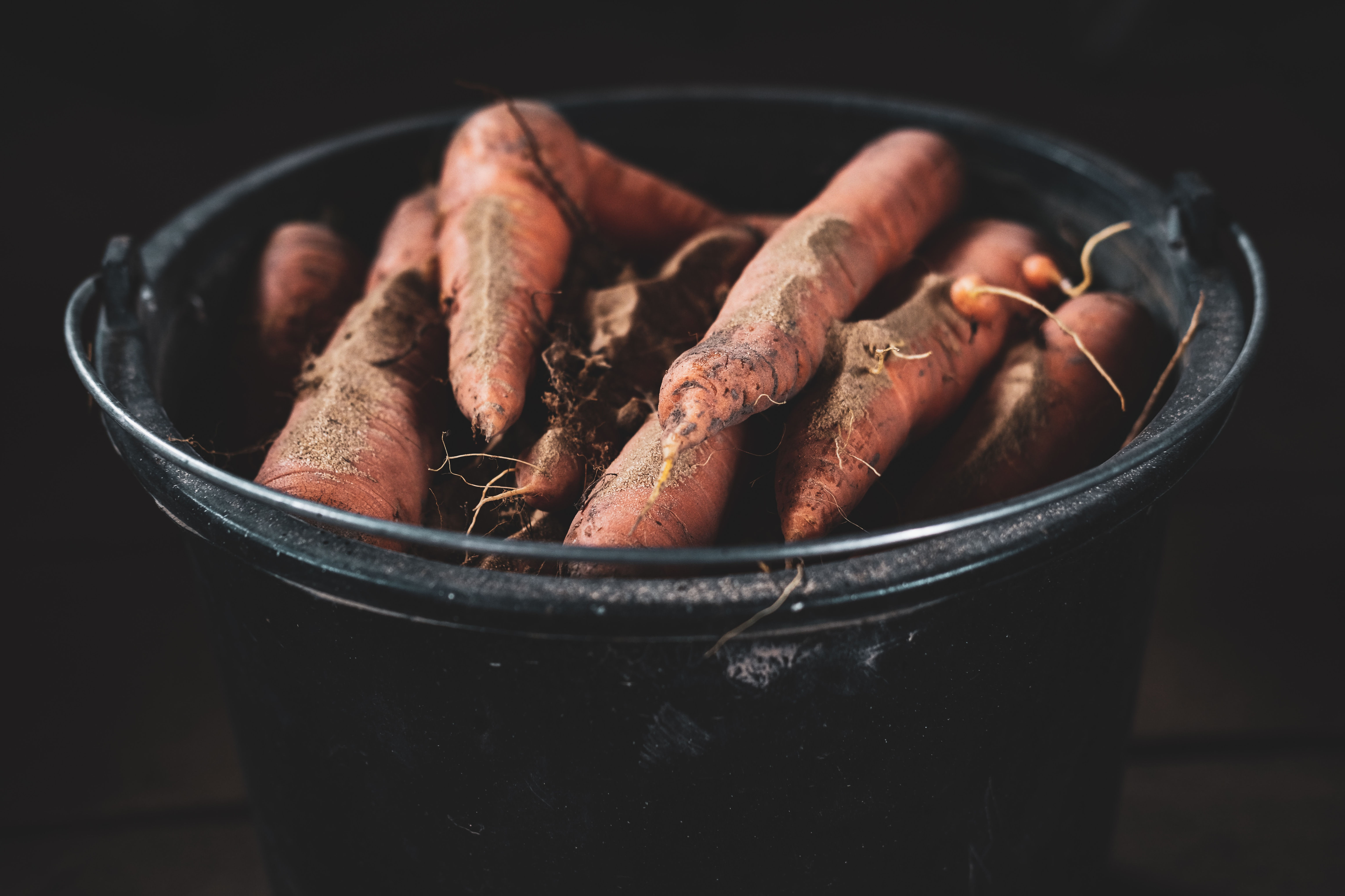 Carotte sable France , les 500g
