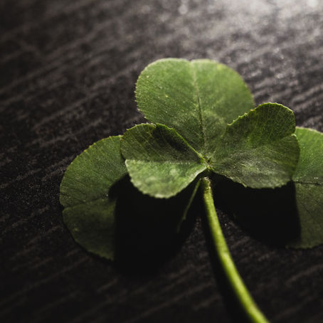 Tomara que nesse dia você volte