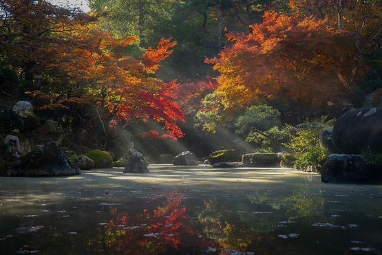 Image by Lucas Calloch