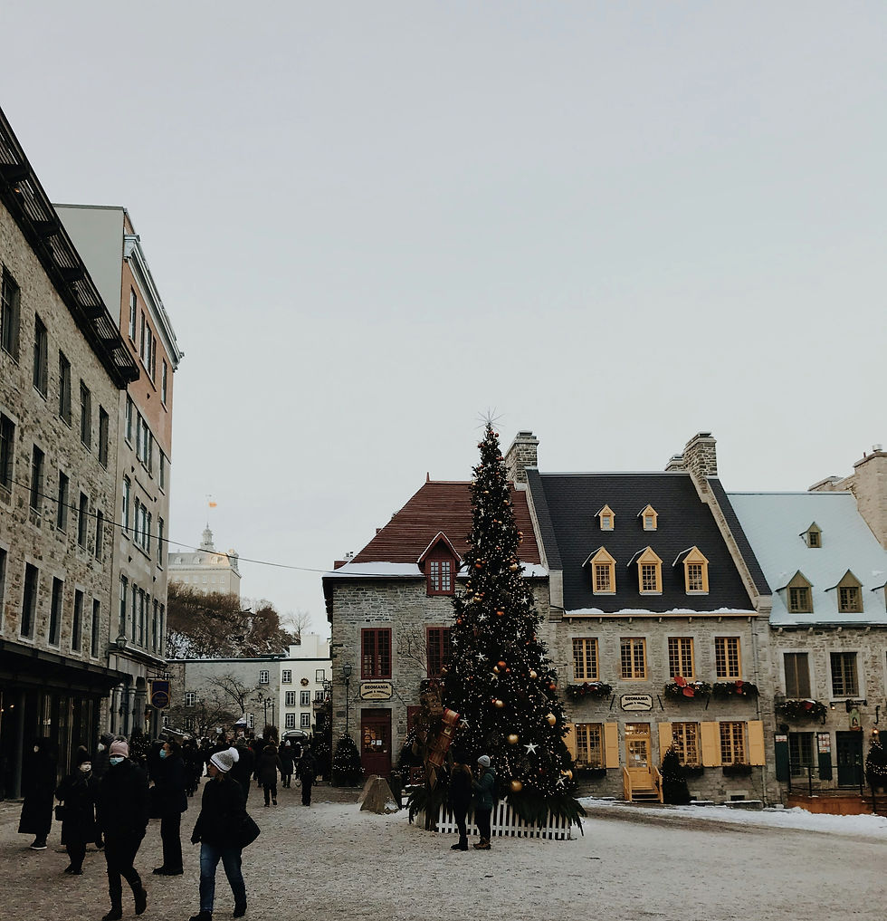 Snowy historic square with a lit Christmas tree, old stone buildings, and bundled pedestrians under a gray sky.