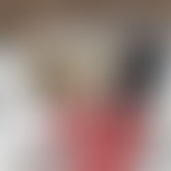 Fahrradanhänger vs. Kindersitz – Was ist sicherer?