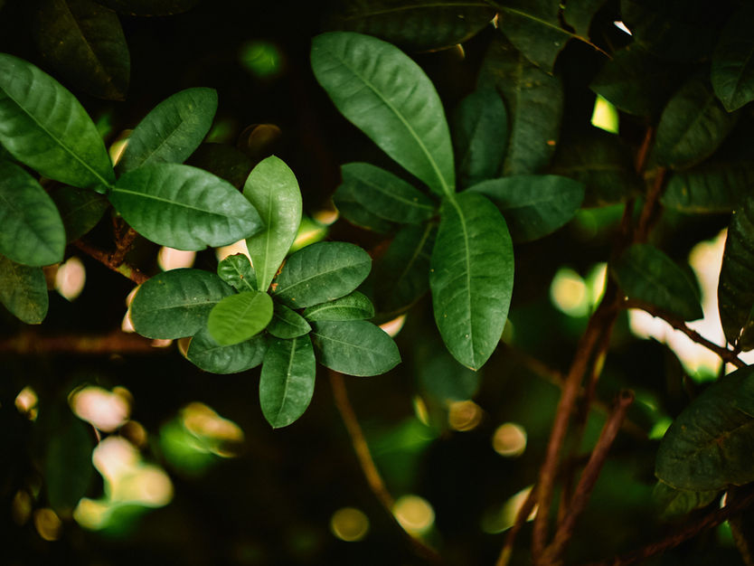 3 հունիսի, 2025 թ.