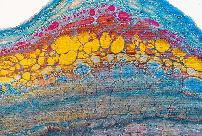 Image by Scott Webb