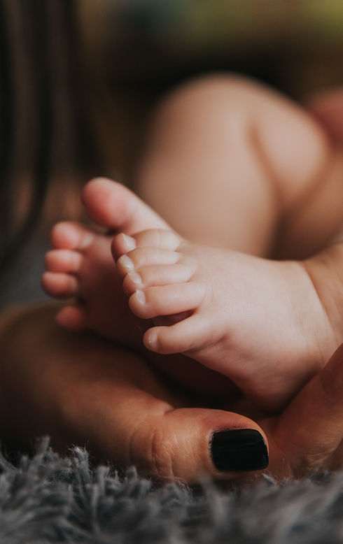 Image de Alex Pasarelu