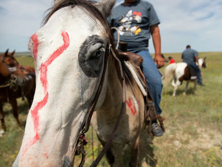 Exploring the Healing Power of Horses in Indigenous Cultures of New Mexico
