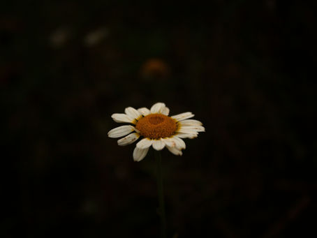 Understanding Bipolar Disorder: Bipolar I, Bipolar II, and Related Types