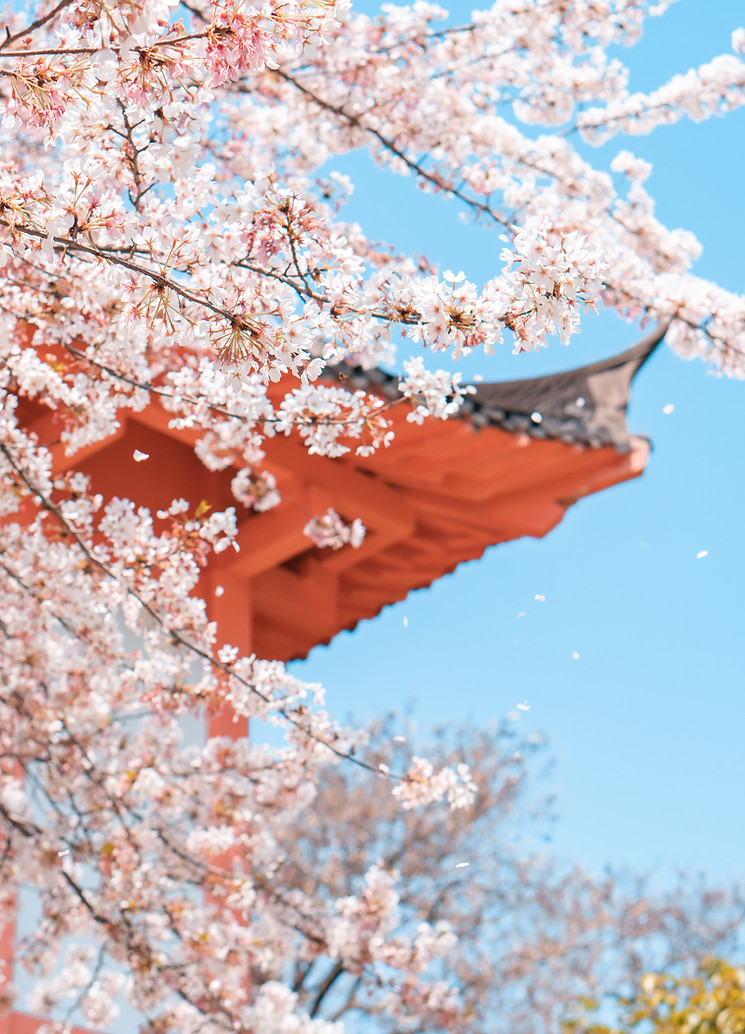 Image by Xianyu hao