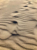 Image by Stefanie Jockschat