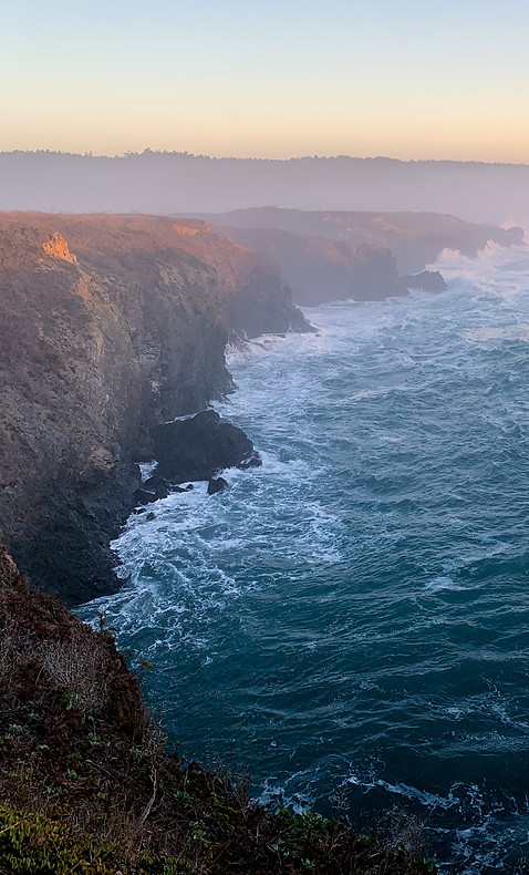 Image by David Barajas