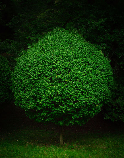 Image by Vladyslav Bahara