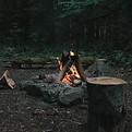 Image by Matt Whitacre