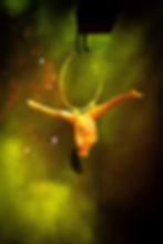 Image by Daniel Seel