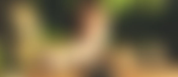 Slowing Down: How Breath Creates More Effective Movement