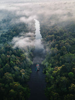Cibersegurança na proteção da Amazônia é tema de destaque no 4º Congresso Brasileiro de Mulheres na Energia