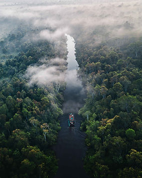 Image by Filippo Cesarini