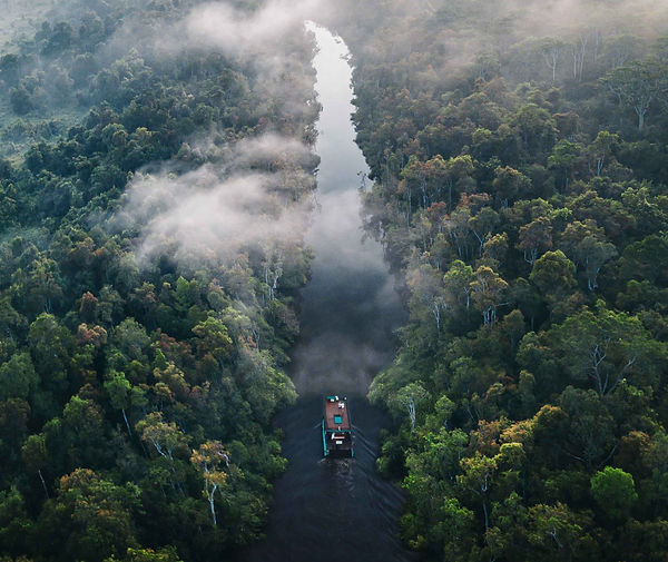 Image by Filippo Cesarini