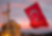 Turkey Toll Free Numbers