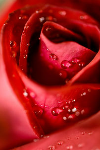 Image de PhotographyCourse