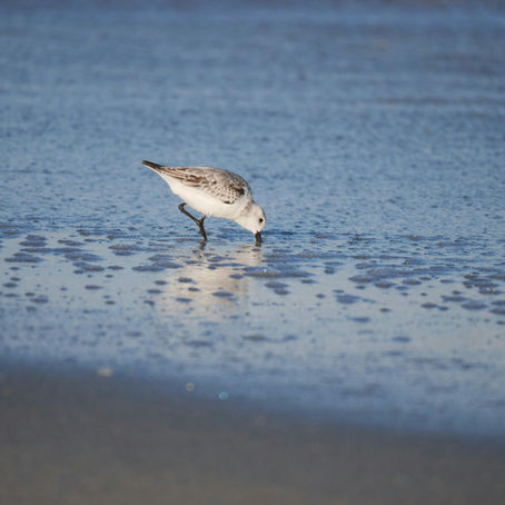 Harkers Island, NC