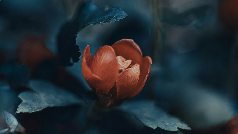 Image by Павел Ромась