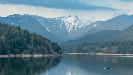 Image by Roy Wang