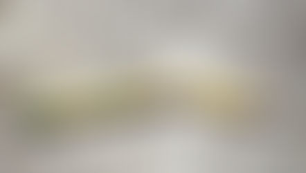 But Lord... - Psalm 86:15