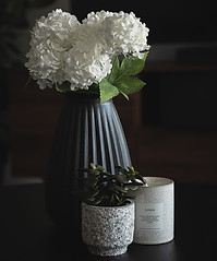 Image by Andreas Haslinger