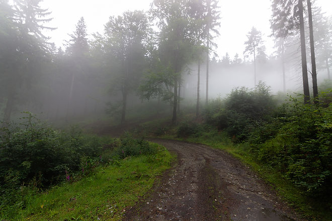 Image by Slawek K